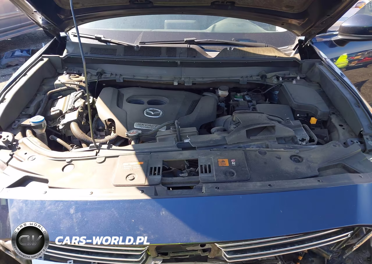 2016 Mazda Cx-9 Touring VIN:JM3TCBCY9G0115943 - 10