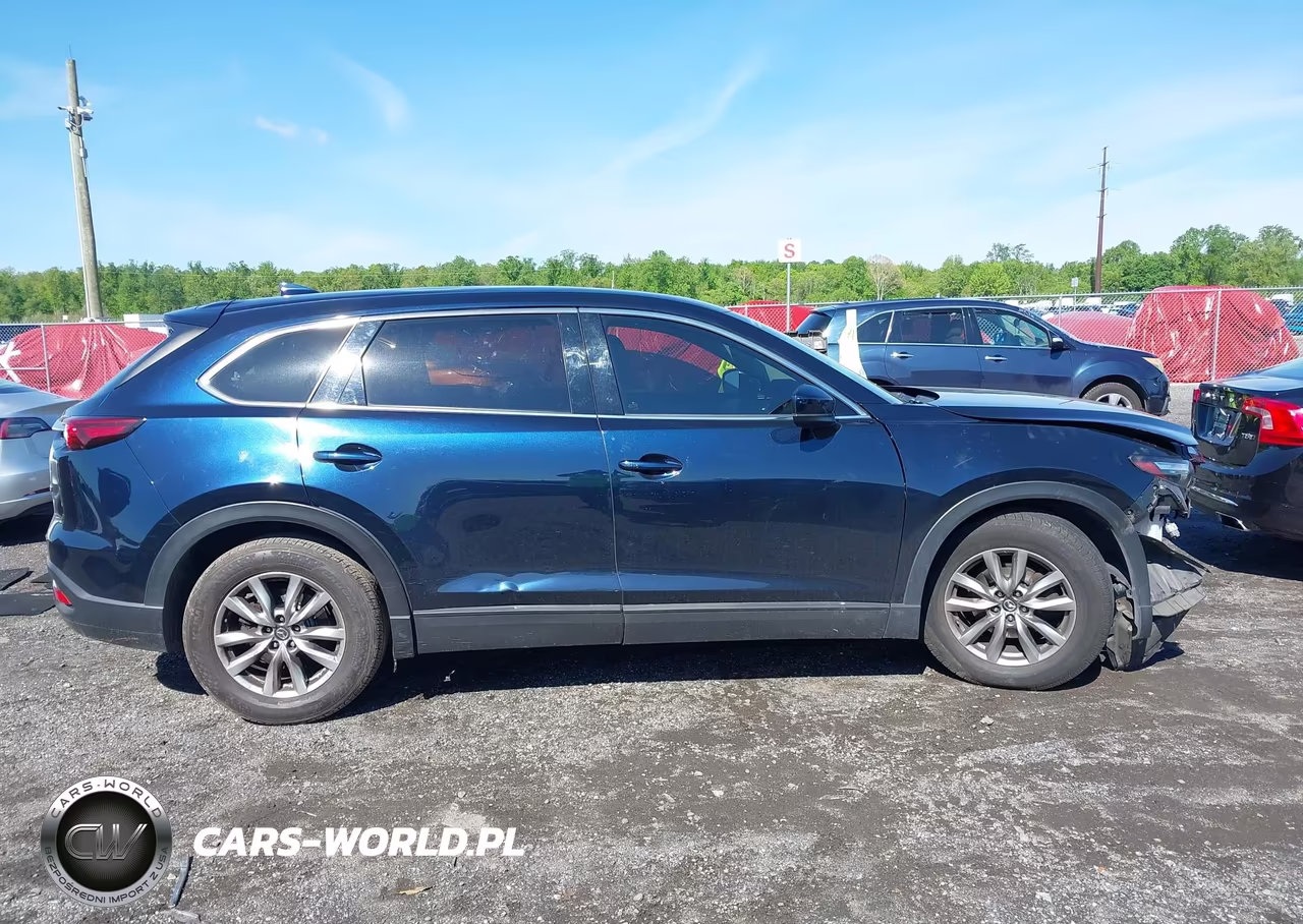 2016 Mazda Cx-9 Touring VIN:JM3TCBCY9G0115943 - 13