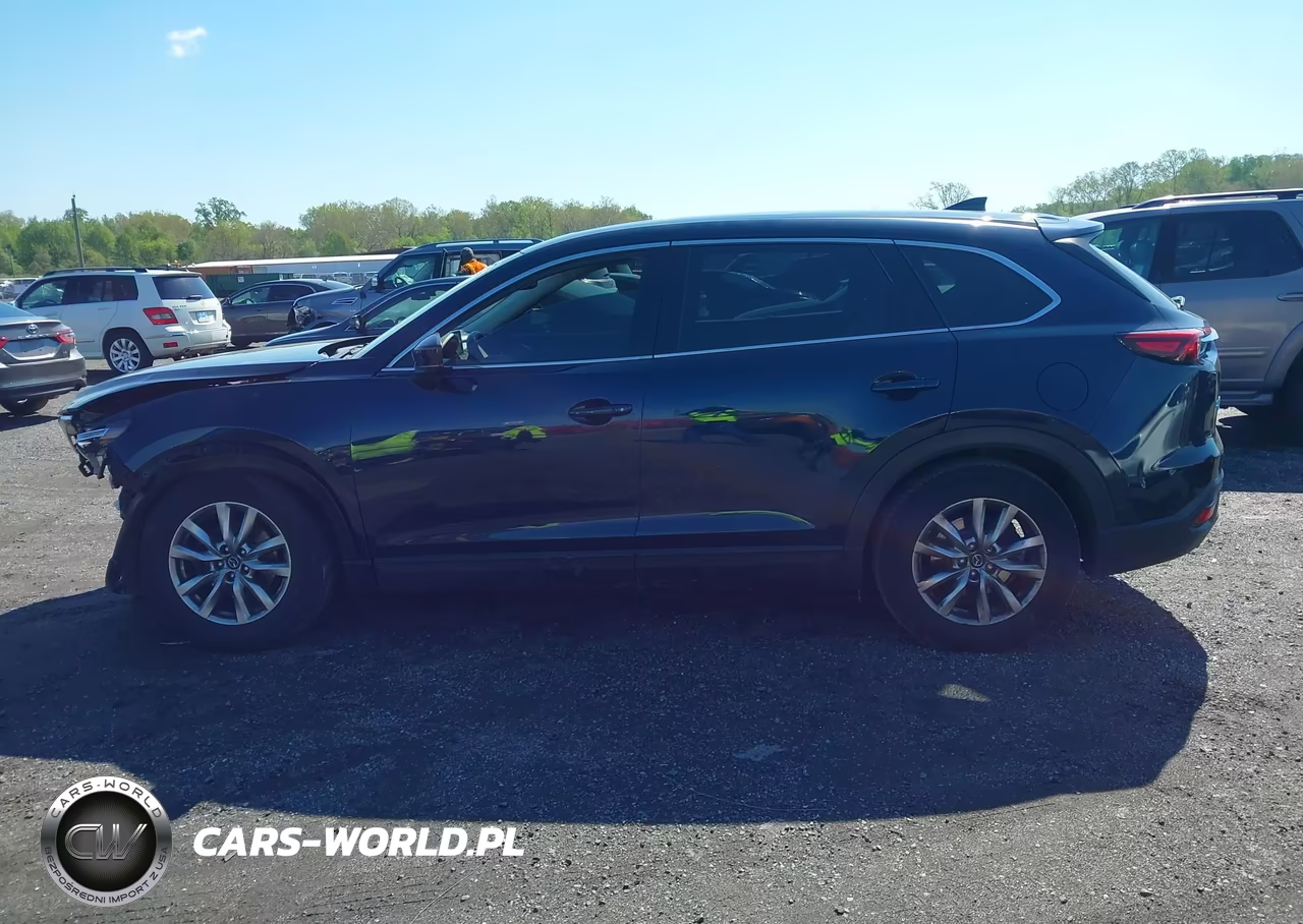 2016 Mazda Cx-9 Touring VIN:JM3TCBCY9G0115943 - 14