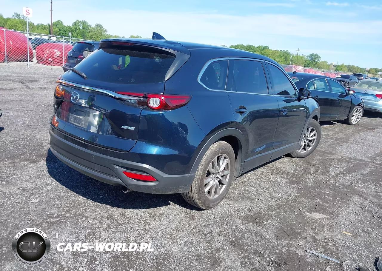 2016 Mazda Cx-9 Touring VIN:JM3TCBCY9G0115943 - 4