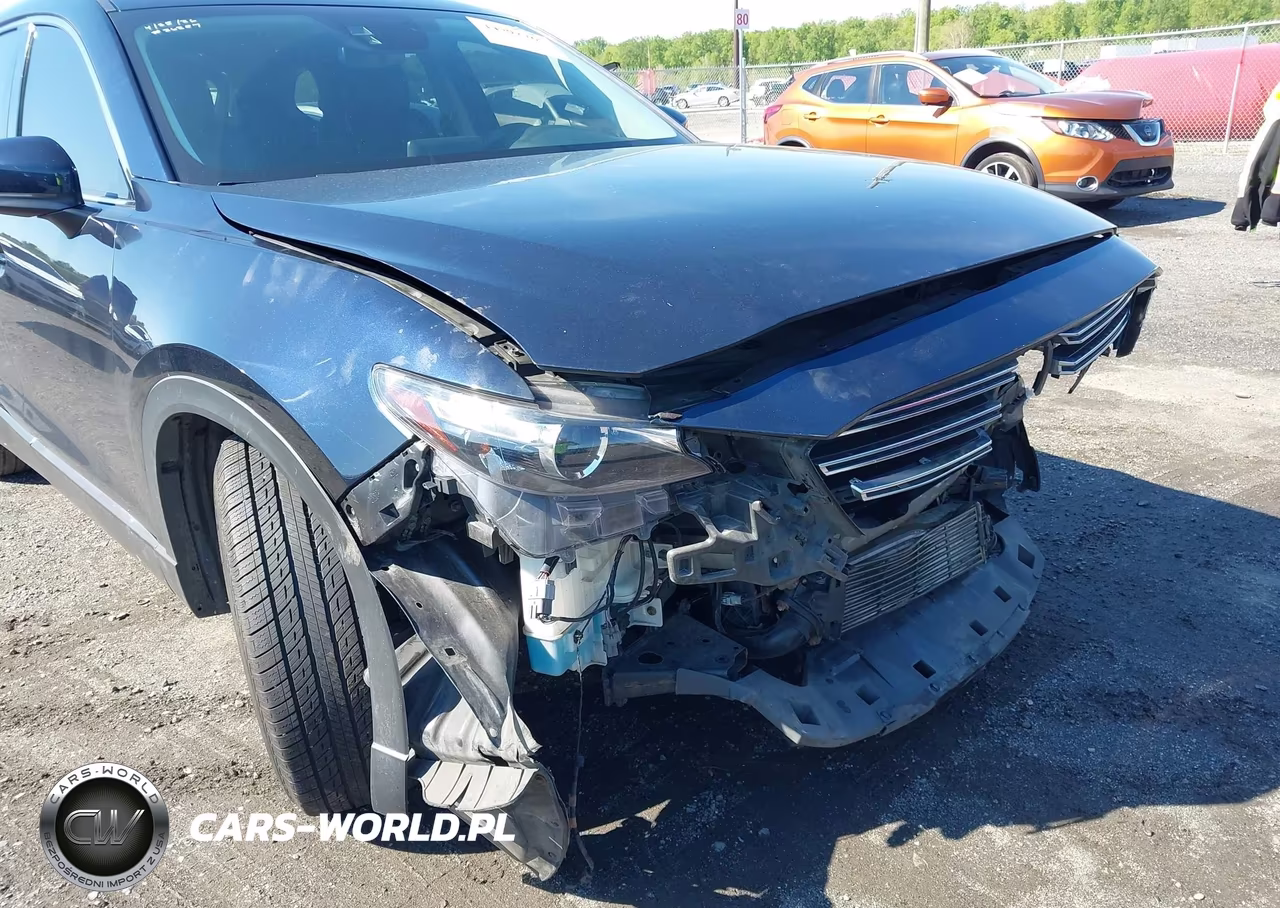2016 Mazda Cx-9 Touring VIN:JM3TCBCY9G0115943 - 6
