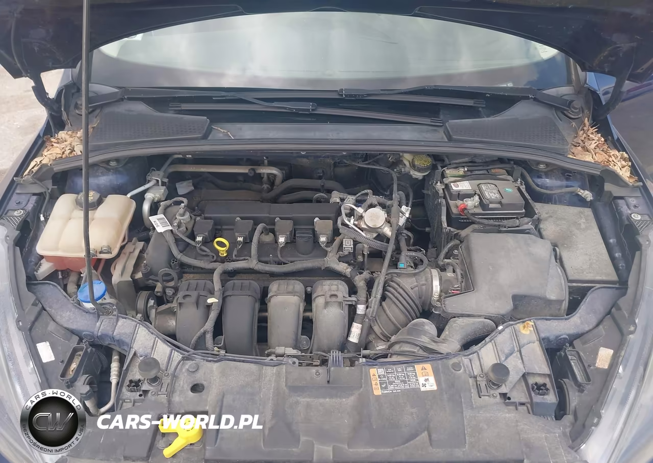 2016 Ford Focus Se VIN:1FADP3F28GL359294 - 10