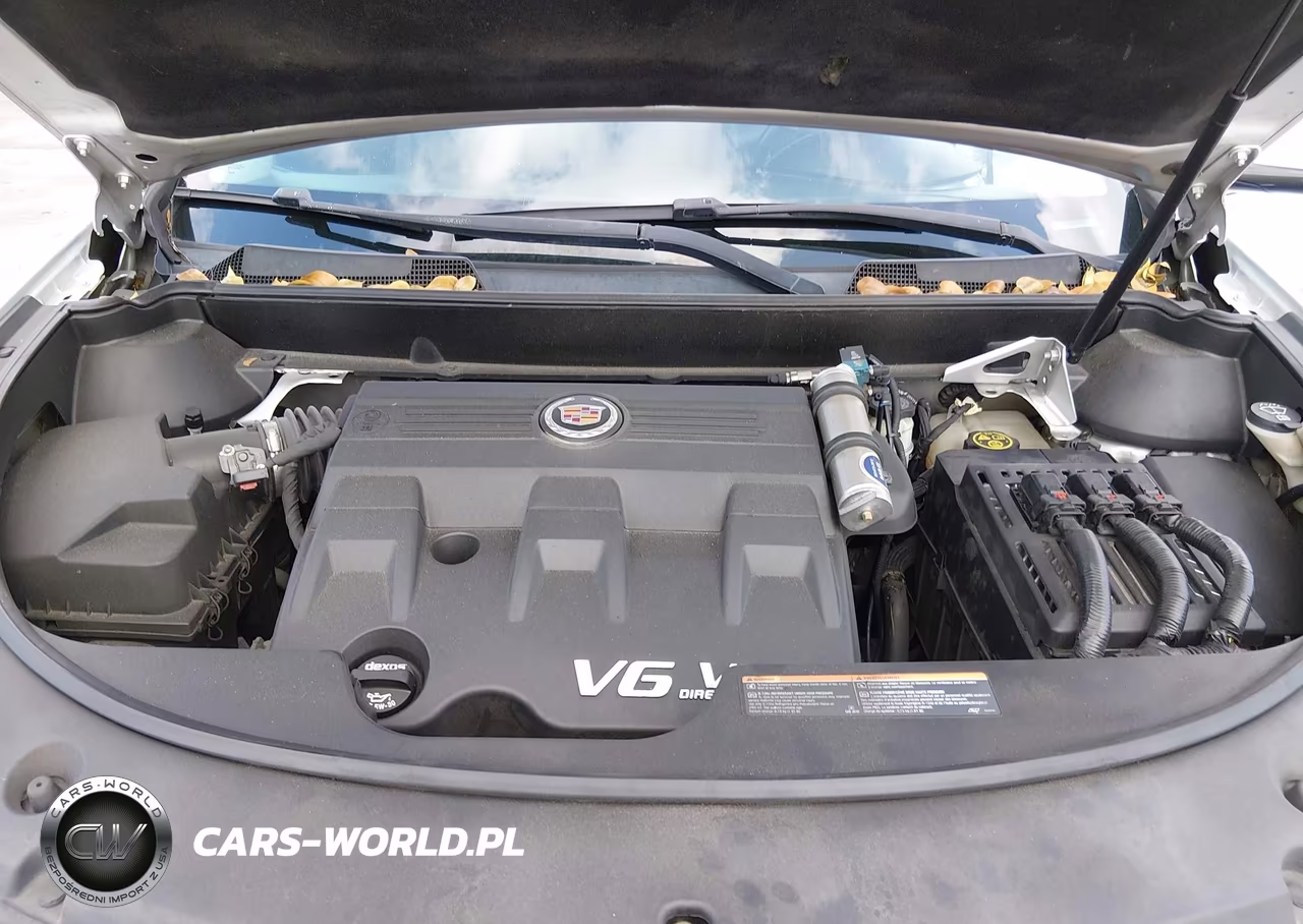 2016 Cadillac Srx Performance Collection VIN:3GYFNCE36GS563244 - 10