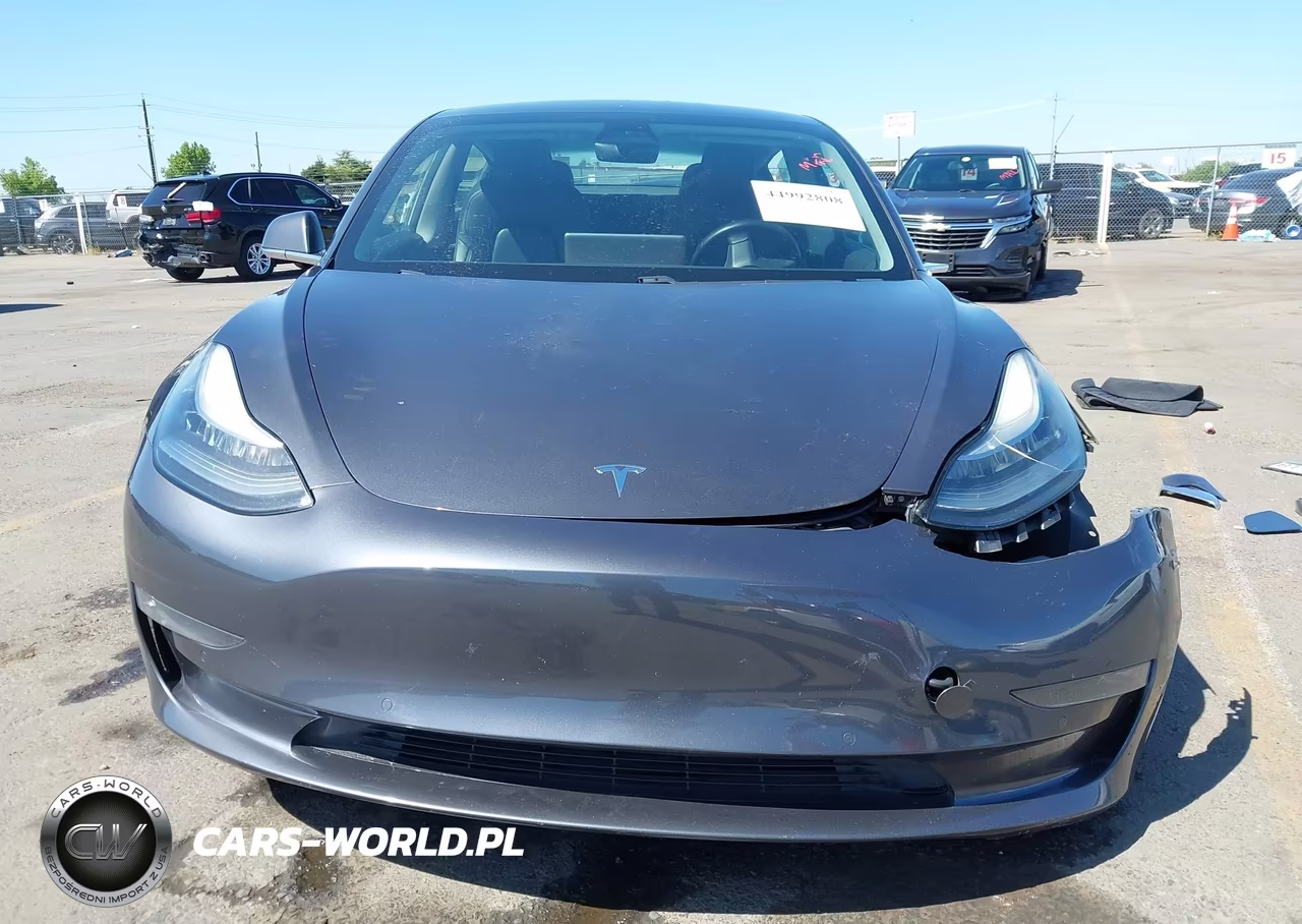 2019 Tesla Model 3 Long Range-Mid Range-Standard Range-Standard Range Plus VIN:5YJ3E1EA0KF300843 - 13