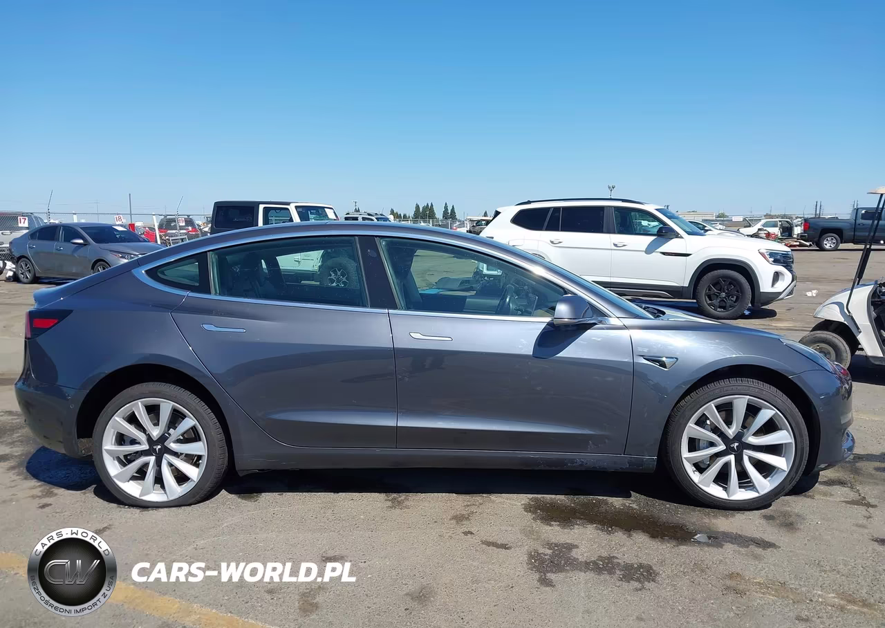2019 Tesla Model 3 Long Range-Mid Range-Standard Range-Standard Range Plus VIN:5YJ3E1EA0KF300843 - 14