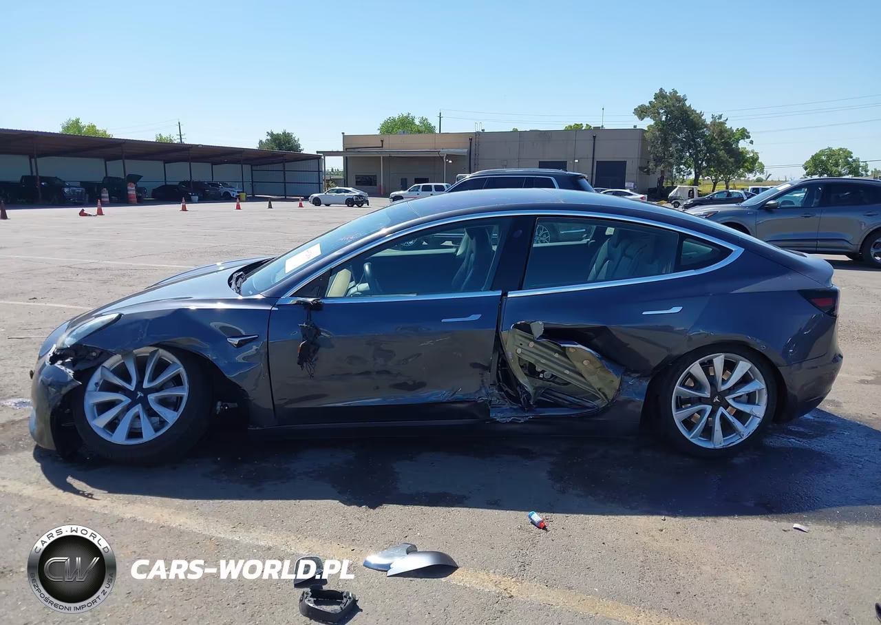 2019 Tesla Model 3 Long Range-Mid Range-Standard Range-Standard Range Plus VIN:5YJ3E1EA0KF300843 - 15