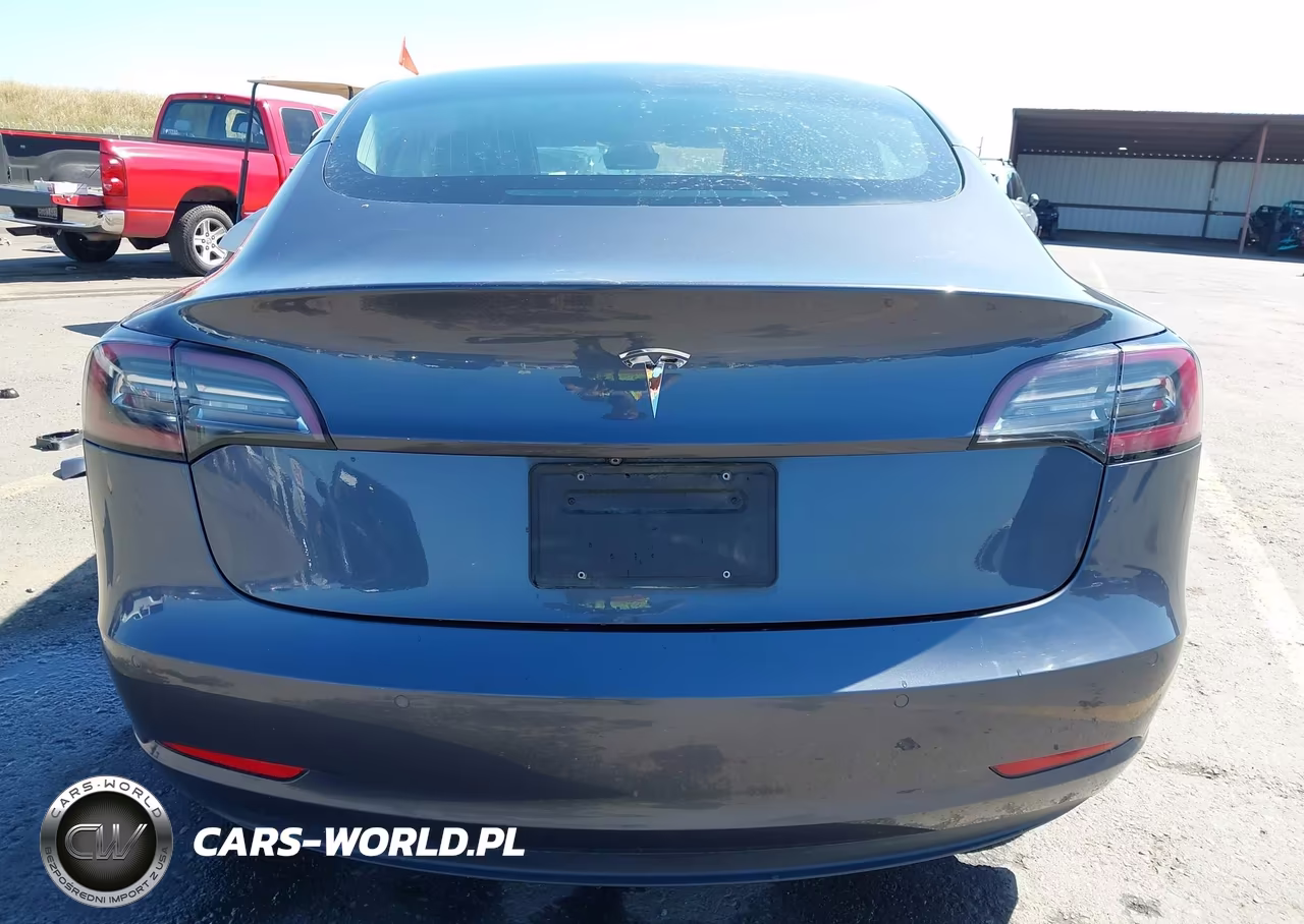 2019 Tesla Model 3 Long Range-Mid Range-Standard Range-Standard Range Plus VIN:5YJ3E1EA0KF300843 - 17