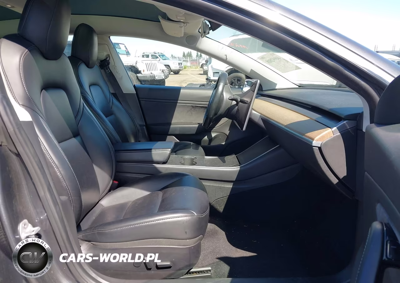 2019 Tesla Model 3 Long Range-Mid Range-Standard Range-Standard Range Plus VIN:5YJ3E1EA0KF300843 - 5