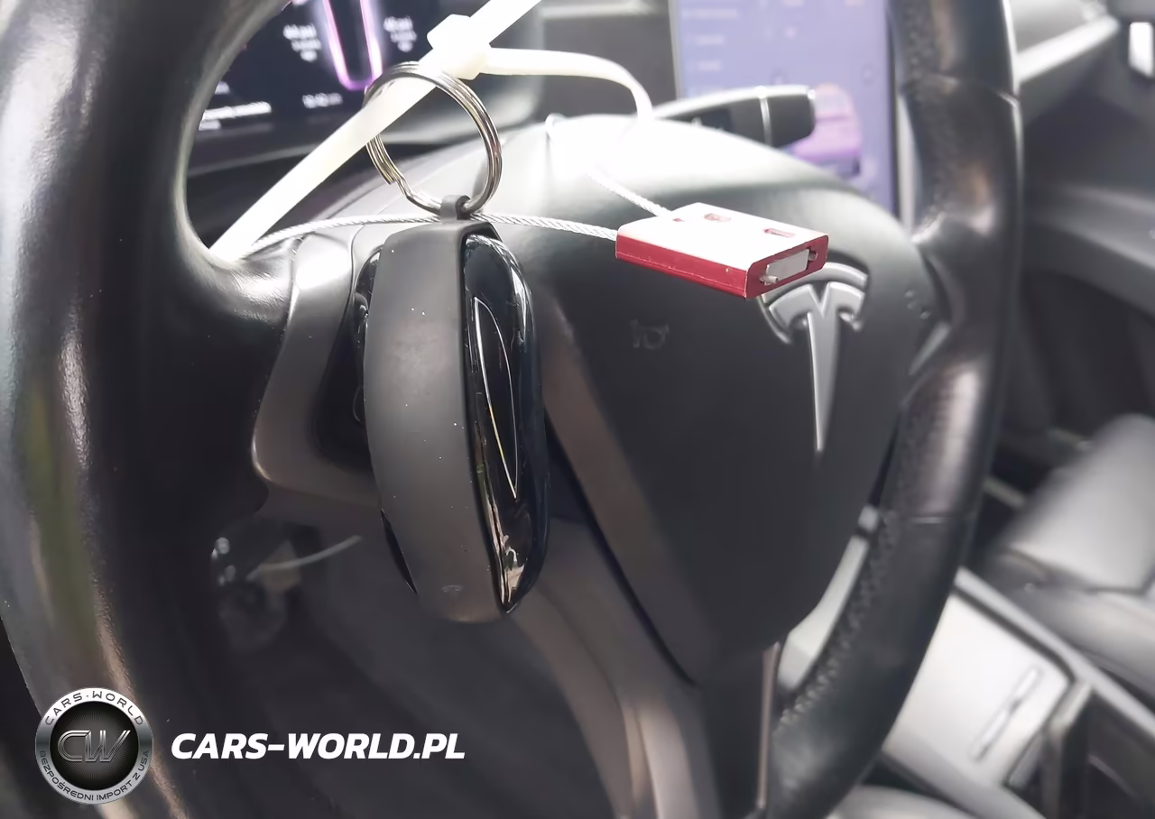 2018 Tesla Model X 100D-75D-P100D VIN:5YJXCAE29JF099961 - 11