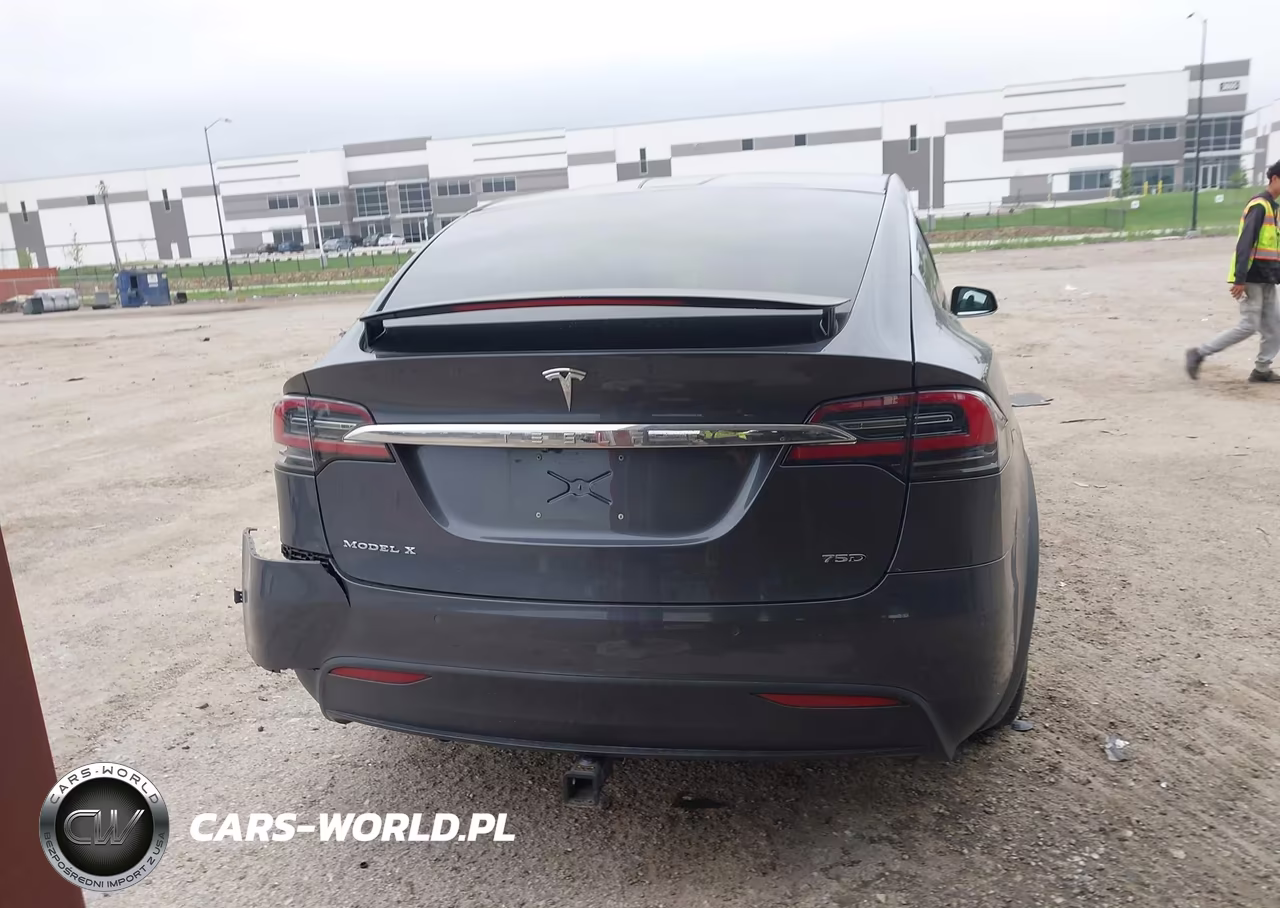 2018 Tesla Model X 100D-75D-P100D VIN:5YJXCAE29JF099961 - 16