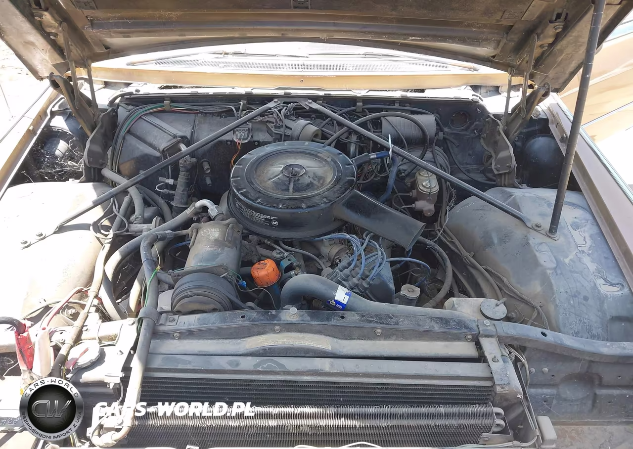 1965 Cadillac Deville VIN:B5254238 - 10
