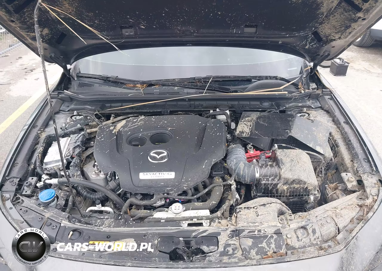 2025 Mazda Mazda3 2.5 Turbo Premium Plus VIN:3MZBPBEY1SM454284 - 10