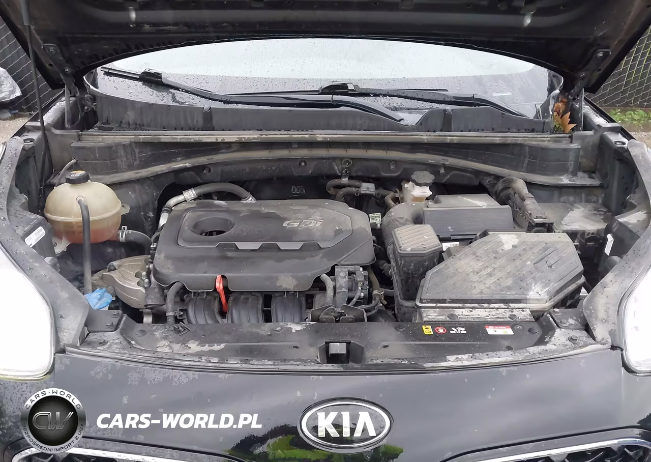 2022 Kia Sportage Lx VIN:KNDPM3AC3N7964331 - 10