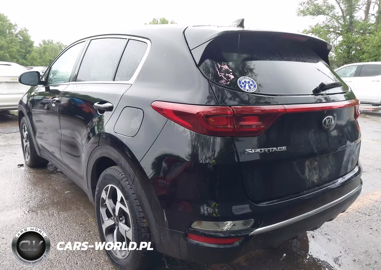 2022 Kia Sportage Lx VIN:KNDPM3AC3N7964331 - 3