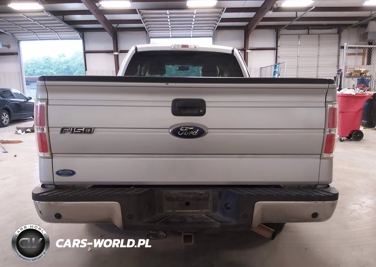 2010 Ford F-150 Fx2 Sport-Stx-Xl-Xlt VIN:1FTEX1C89AKB84367 - 16