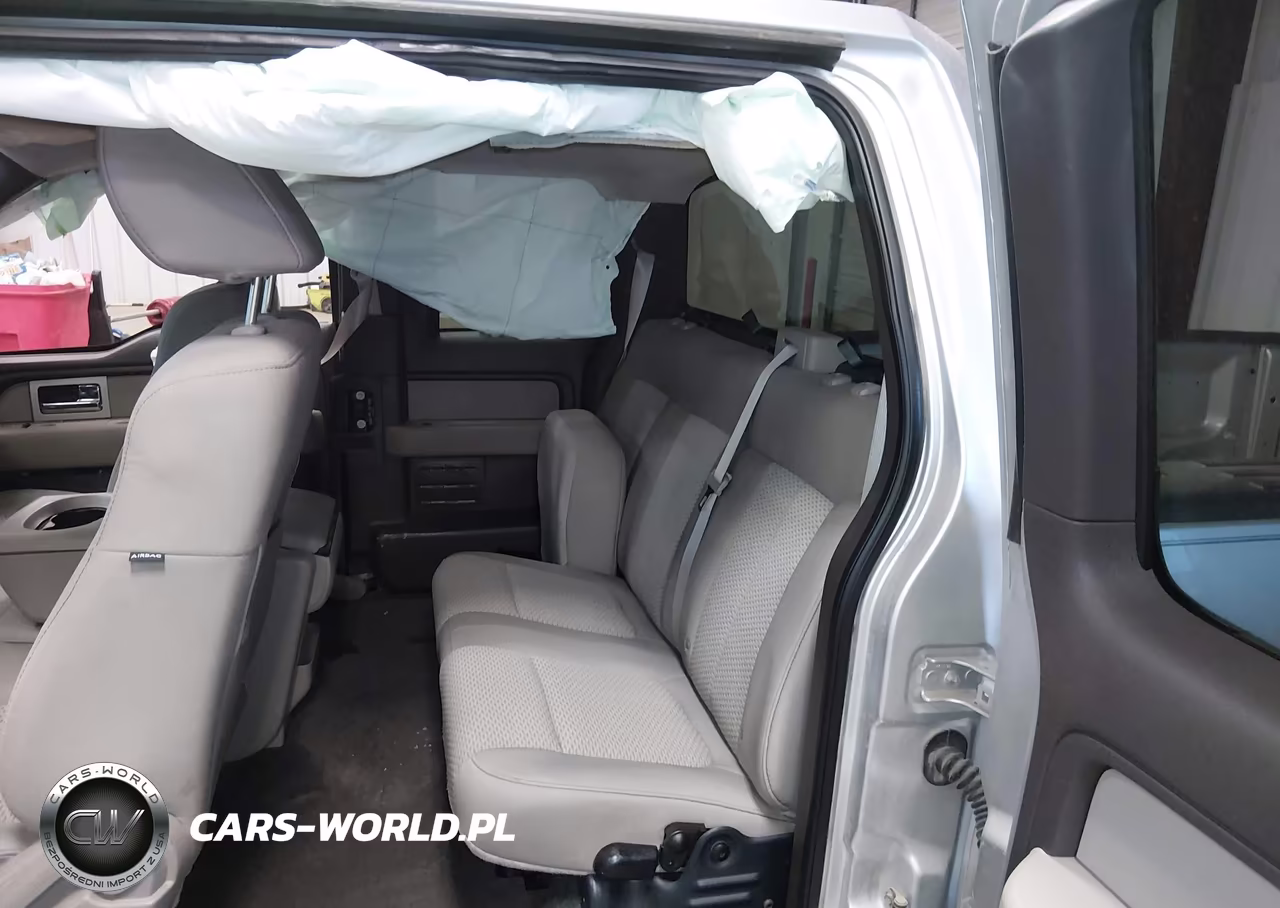 2010 Ford F-150 Fx2 Sport-Stx-Xl-Xlt VIN:1FTEX1C89AKB84367 - 8