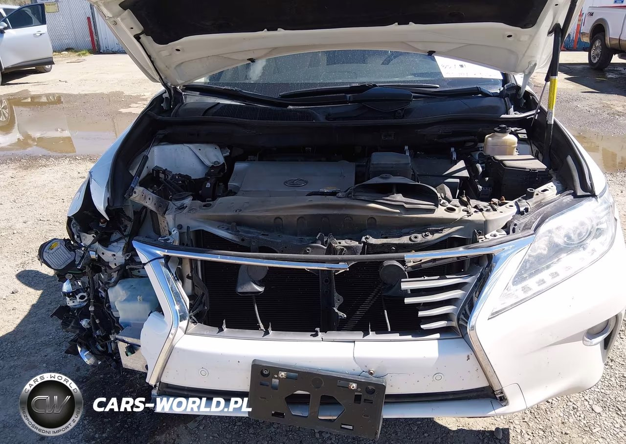 2014 Lexus Rx 350 VIN:2T2BK1BA4EC233449 - 10