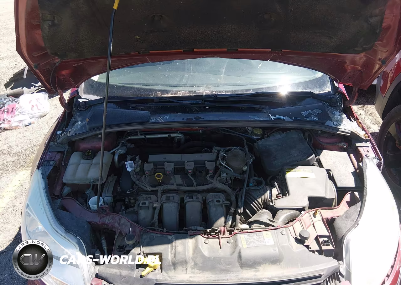2014 Ford Focus Se VIN:1FADP3F29EL444013 - 10