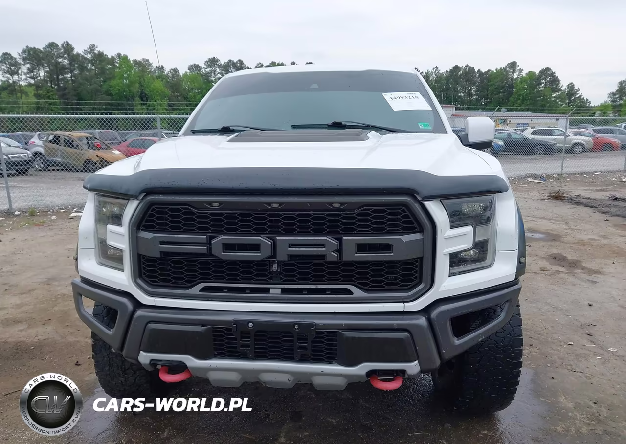 2018 Ford F-150 Raptor VIN:1FTFW1RG9JFA89421 - 12