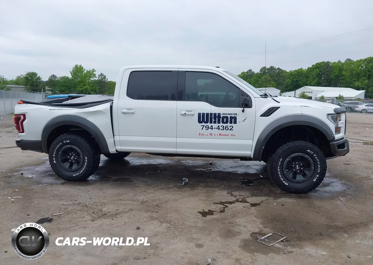 2018 Ford F-150 Raptor VIN:1FTFW1RG9JFA89421 - 13