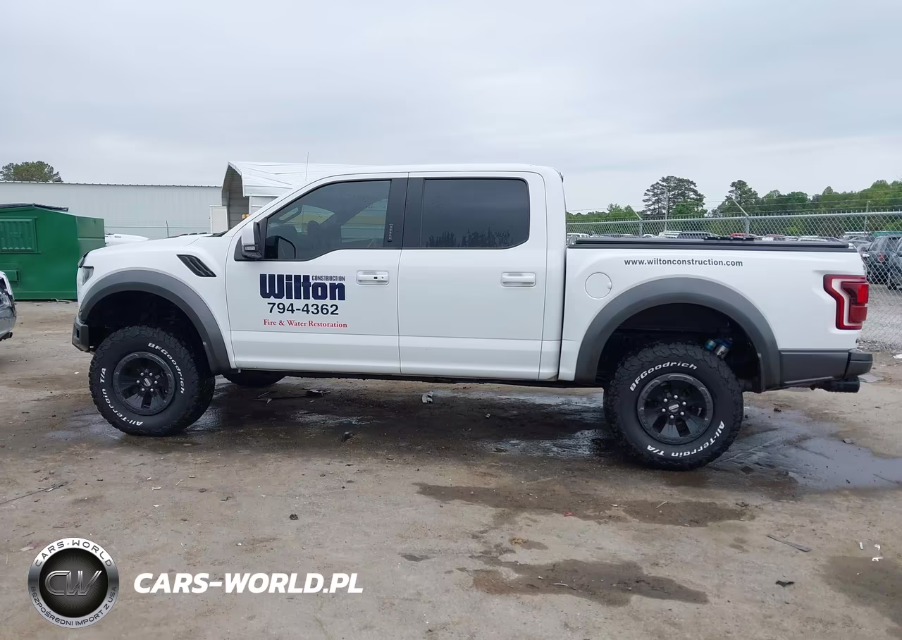2018 Ford F-150 Raptor VIN:1FTFW1RG9JFA89421 - 14