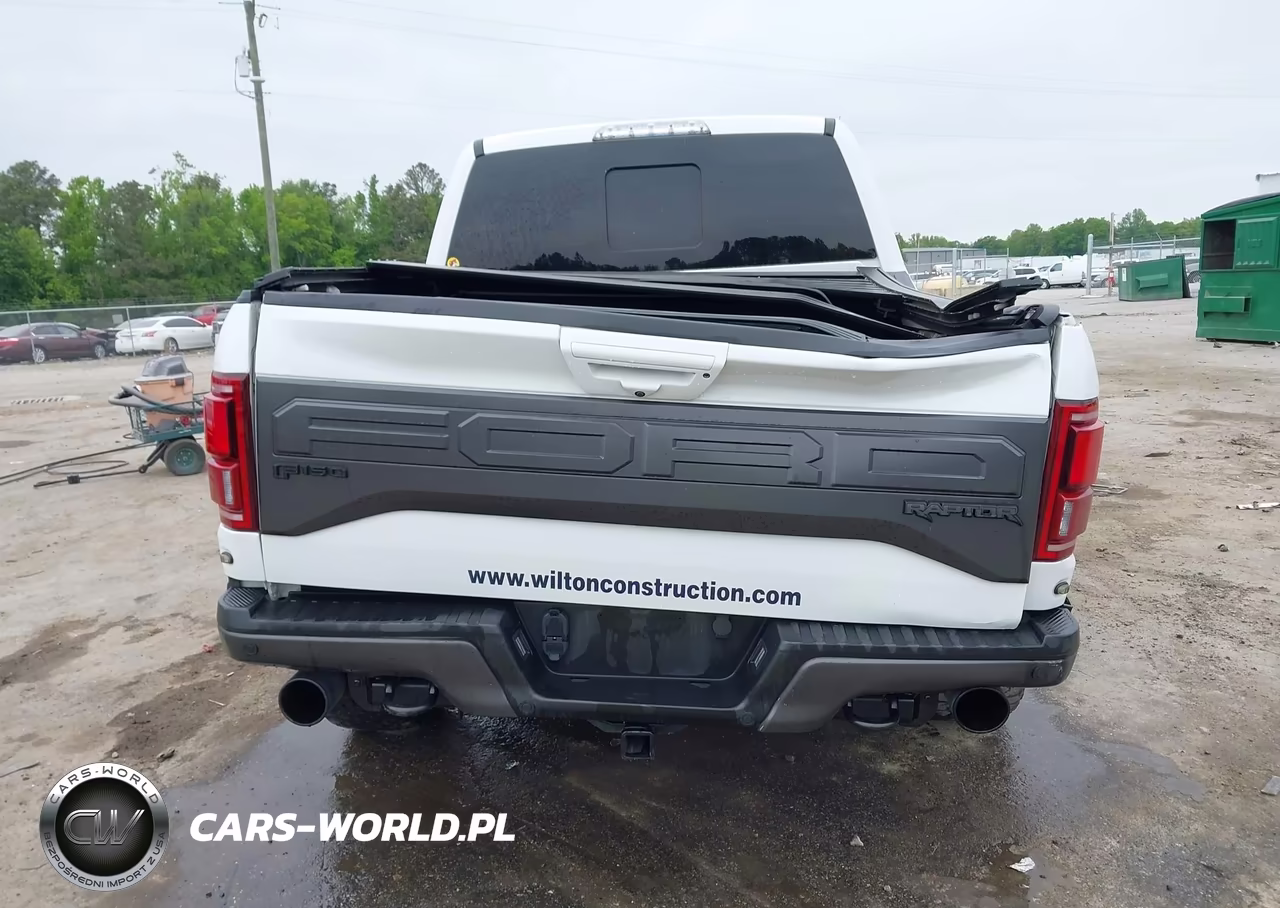 2018 Ford F-150 Raptor VIN:1FTFW1RG9JFA89421 - 16