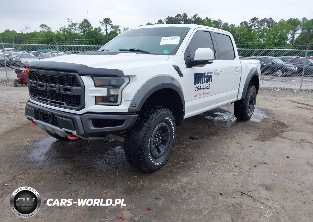 2018 Ford F-150 Raptor VIN:1FTFW1RG9JFA89421 - 2