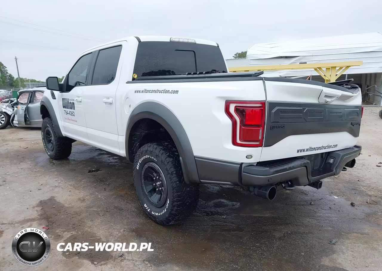 2018 Ford F-150 Raptor VIN:1FTFW1RG9JFA89421 - 3