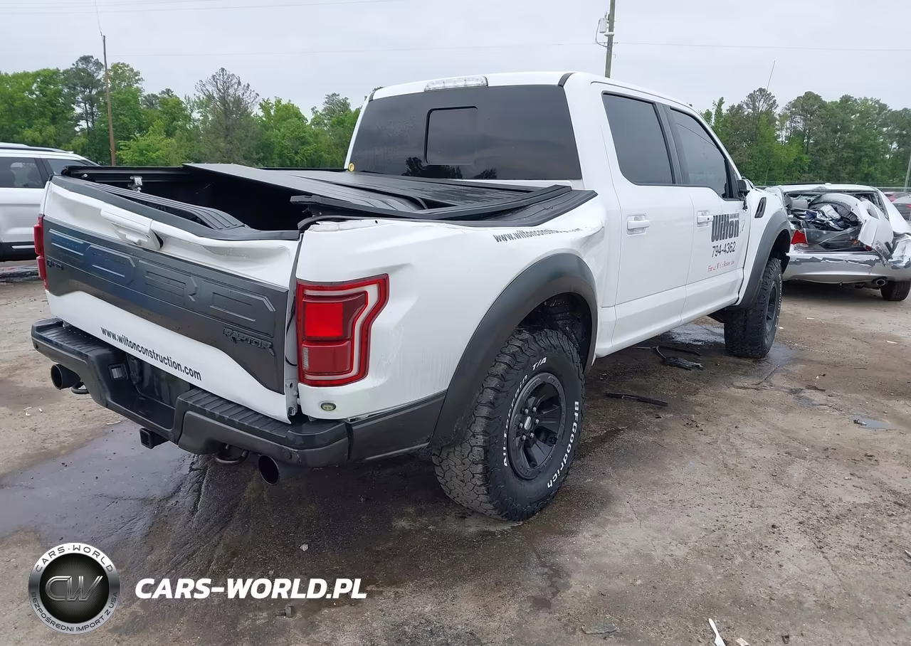 2018 Ford F-150 Raptor VIN:1FTFW1RG9JFA89421 - 4
