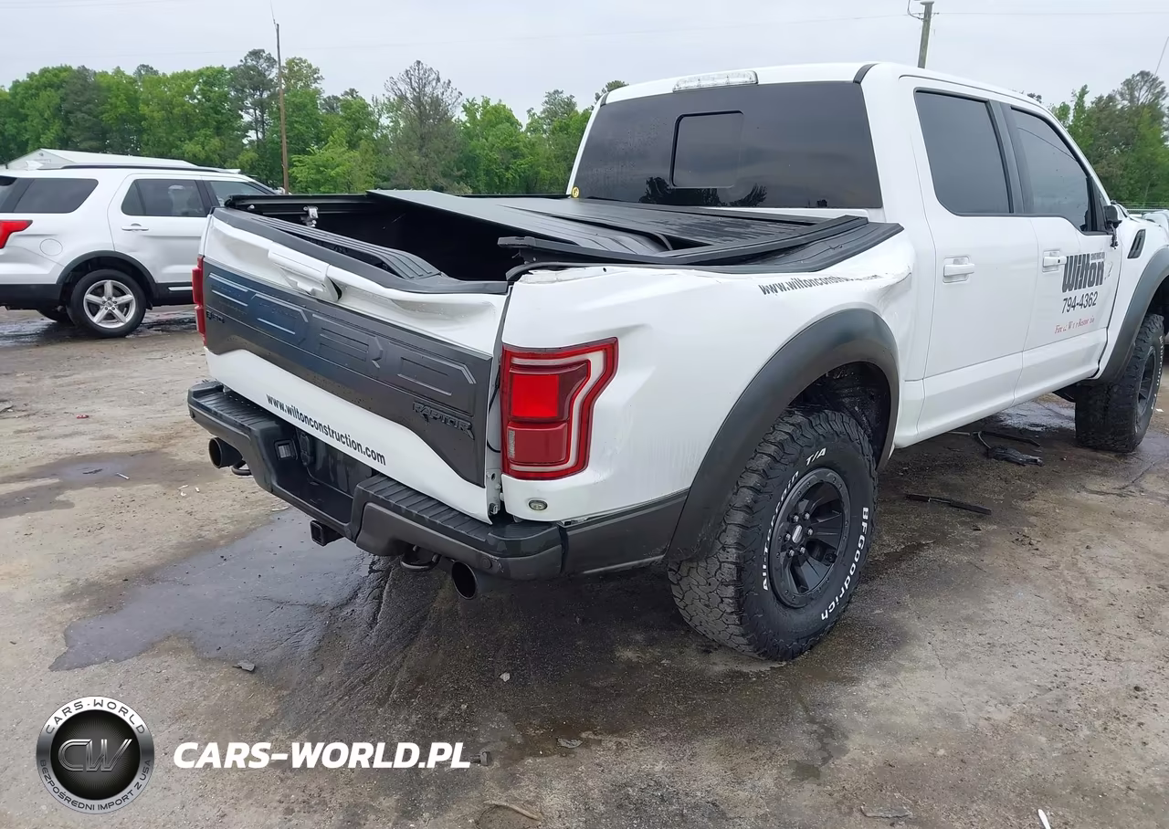 2018 Ford F-150 Raptor VIN:1FTFW1RG9JFA89421 - 6