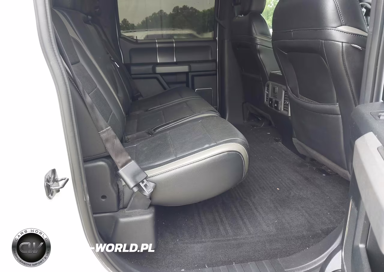 2018 Ford F-150 Raptor VIN:1FTFW1RG9JFA89421 - 8