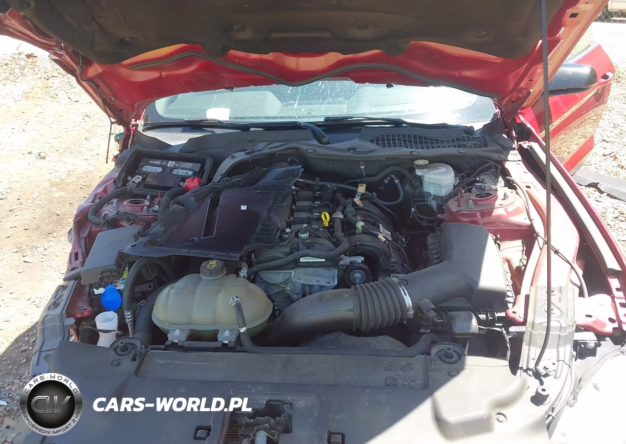 2022 Ford Mustang Ecoboost Fastback VIN:1FA6P8TH6N5146621 - 10