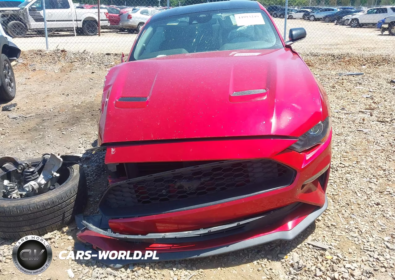 2022 Ford Mustang Ecoboost Fastback VIN:1FA6P8TH6N5146621 - 11