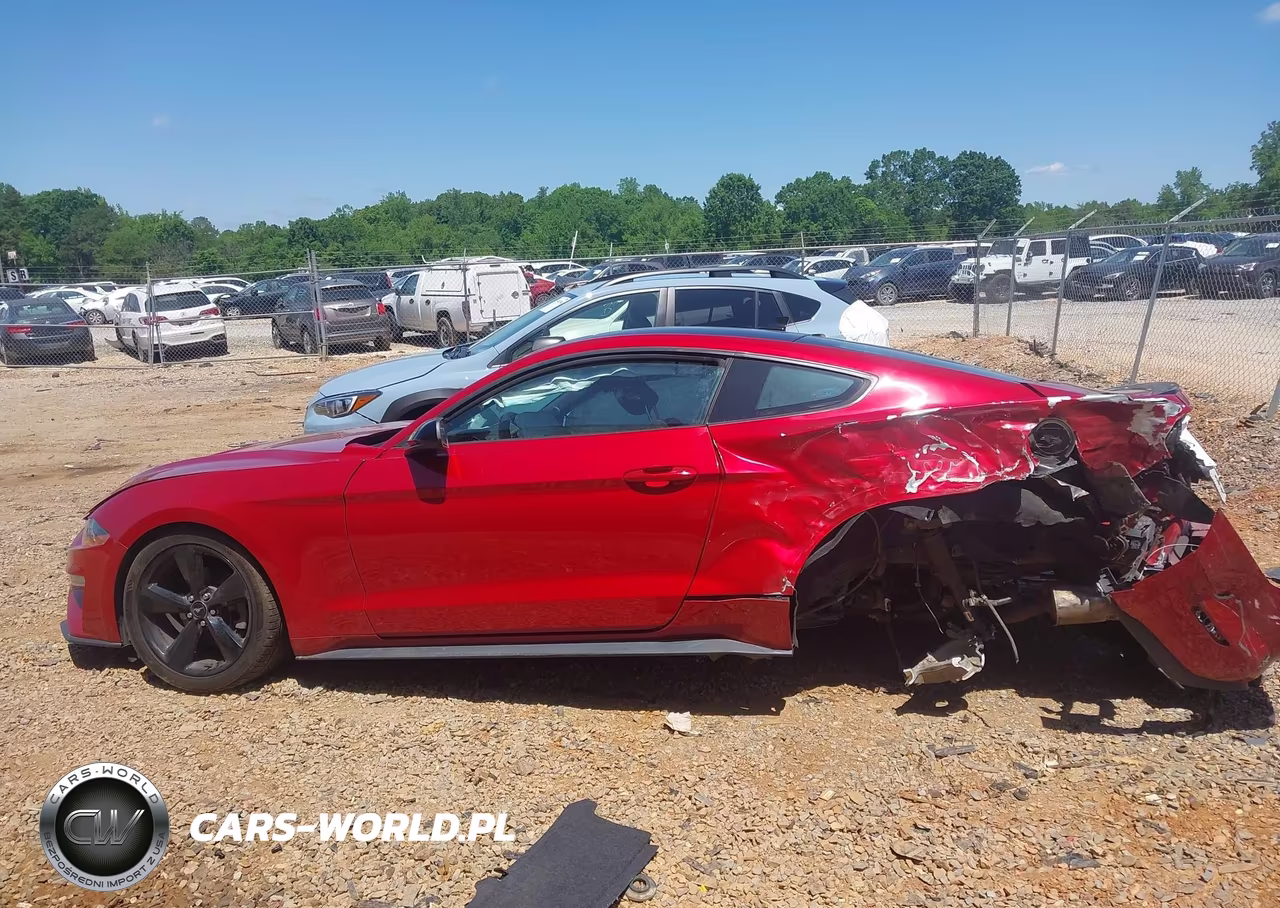 2022 Ford Mustang Ecoboost Fastback VIN:1FA6P8TH6N5146621 - 13
