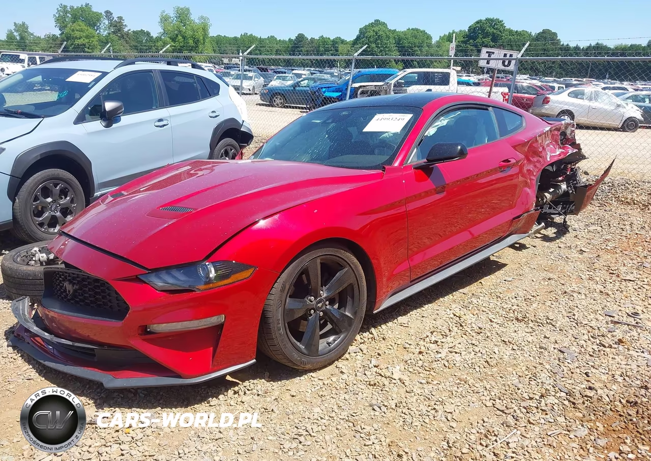 2022 Ford Mustang Ecoboost Fastback VIN:1FA6P8TH6N5146621 - 2