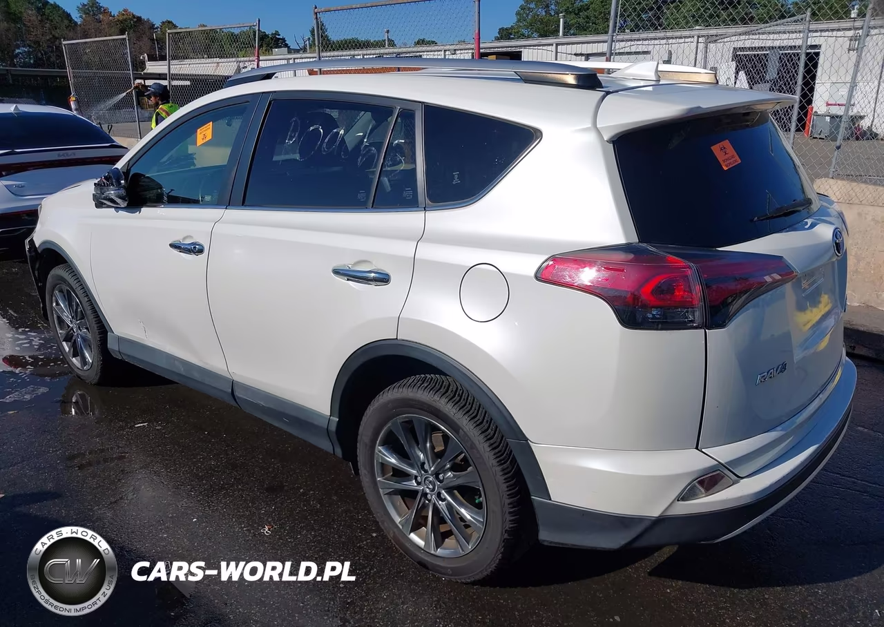 2018 Toyota Rav4 Limited VIN:JTMDFREV5JJ235871 - 3