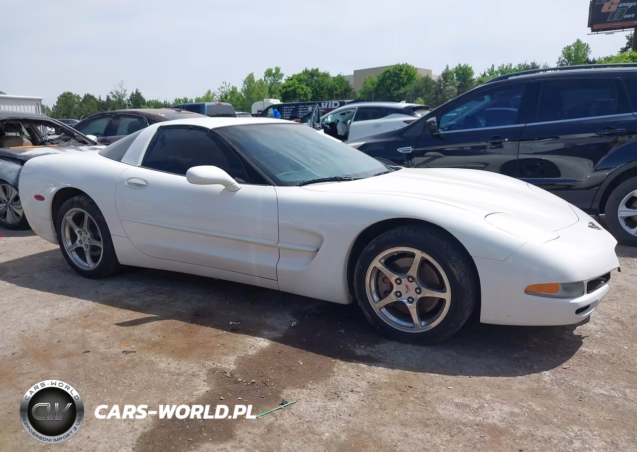 2002 Chevrolet Corvette VIN:1G1YY22G525128475 - 13