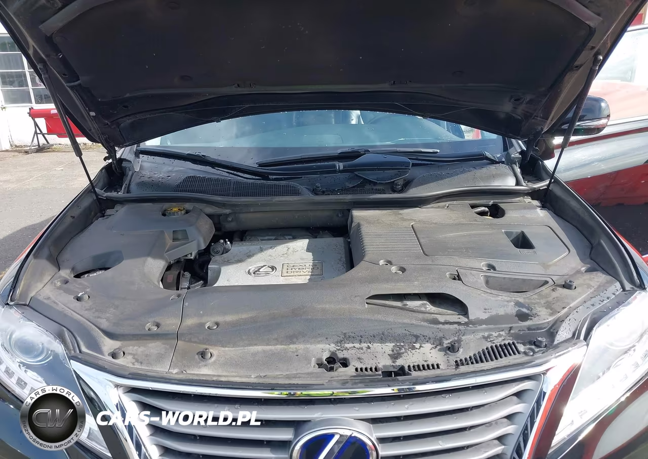 2013 Lexus Rx 450H VIN:JTJBC1BA4D2065520 - 10