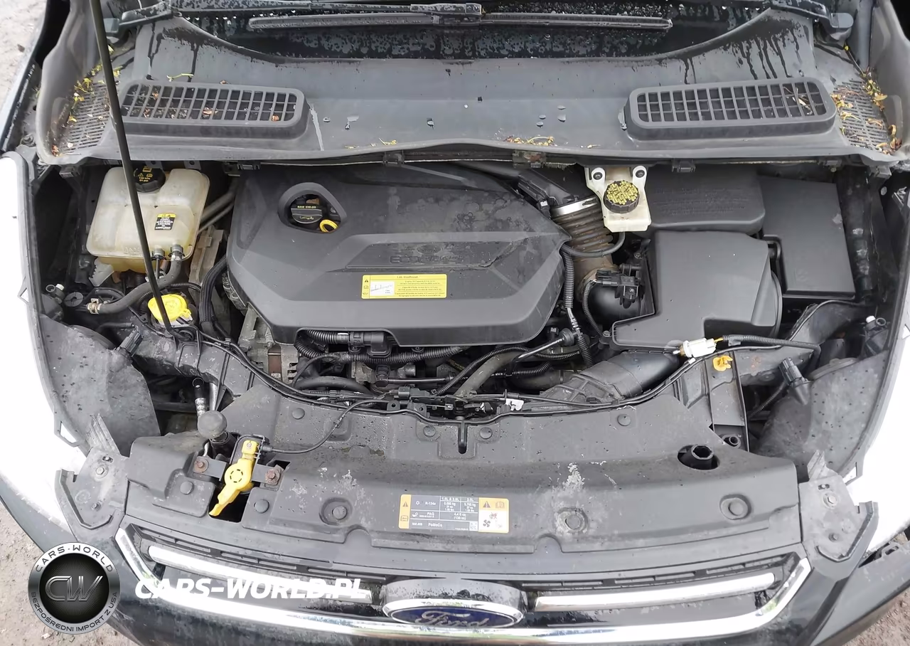 2013 Ford Escape Sel VIN:1FMCU9HX4DUD35120 - 10