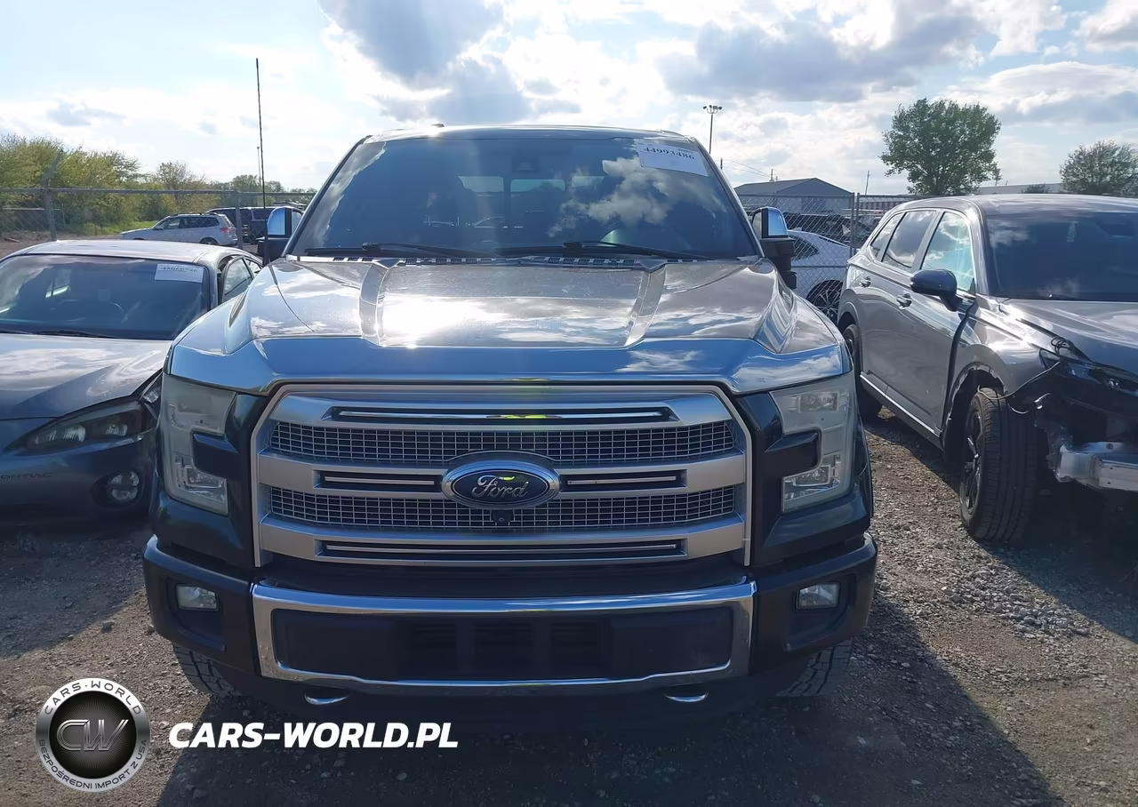 2015 Ford F-150 Platinum VIN:1FTEW1EG1FFB91482 - 12