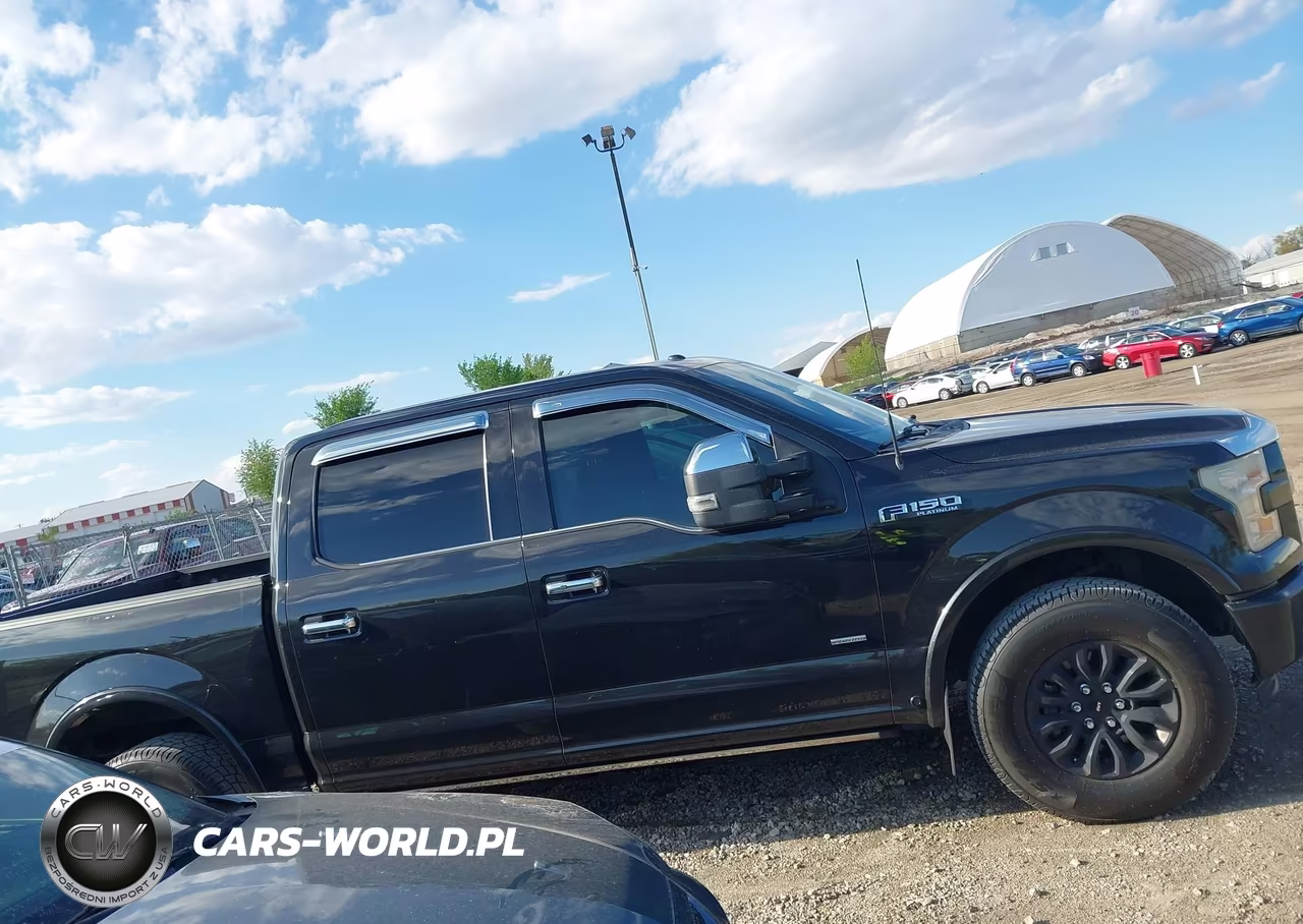 2015 Ford F-150 Platinum VIN:1FTEW1EG1FFB91482 - 13