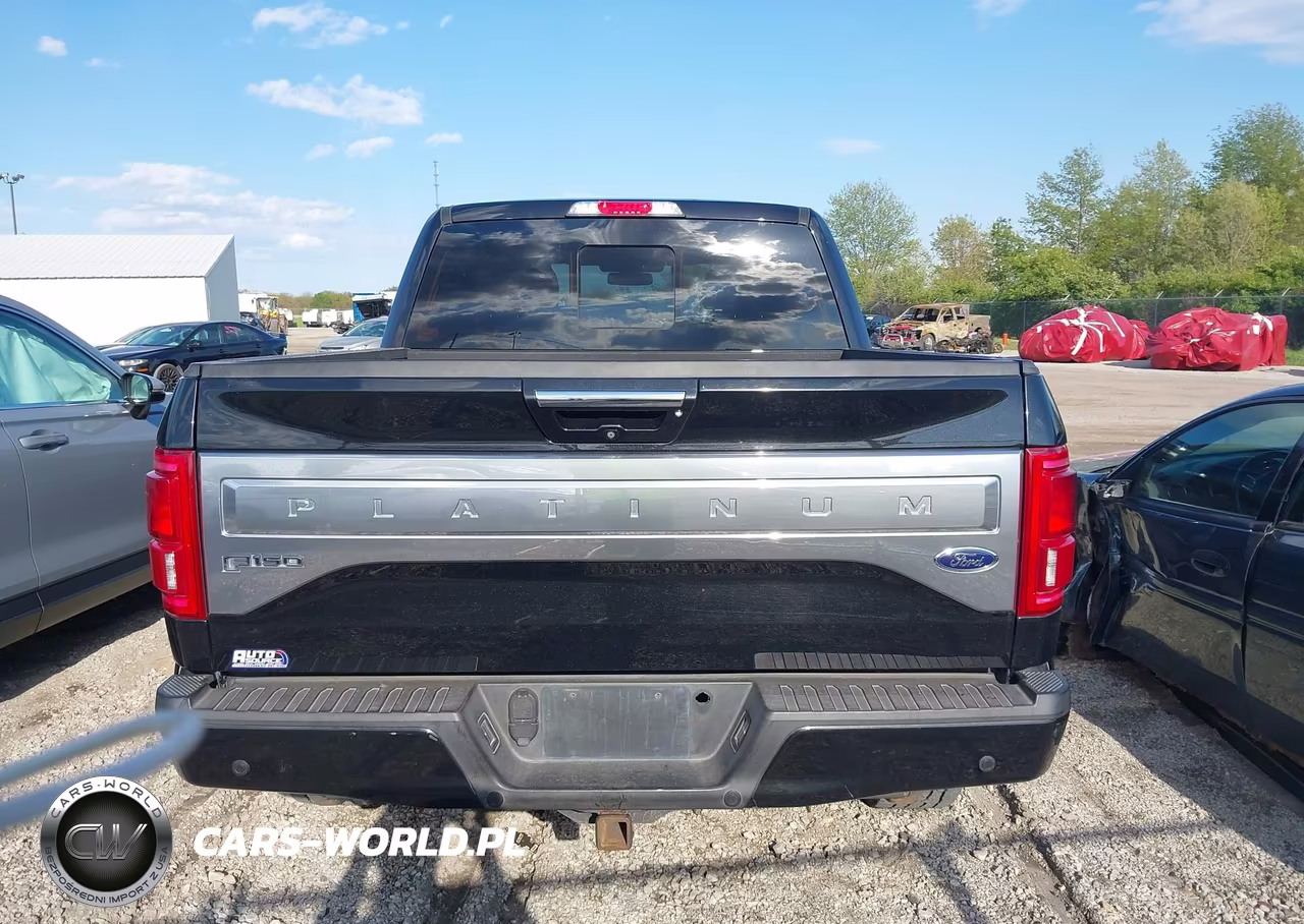 2015 Ford F-150 Platinum VIN:1FTEW1EG1FFB91482 - 16