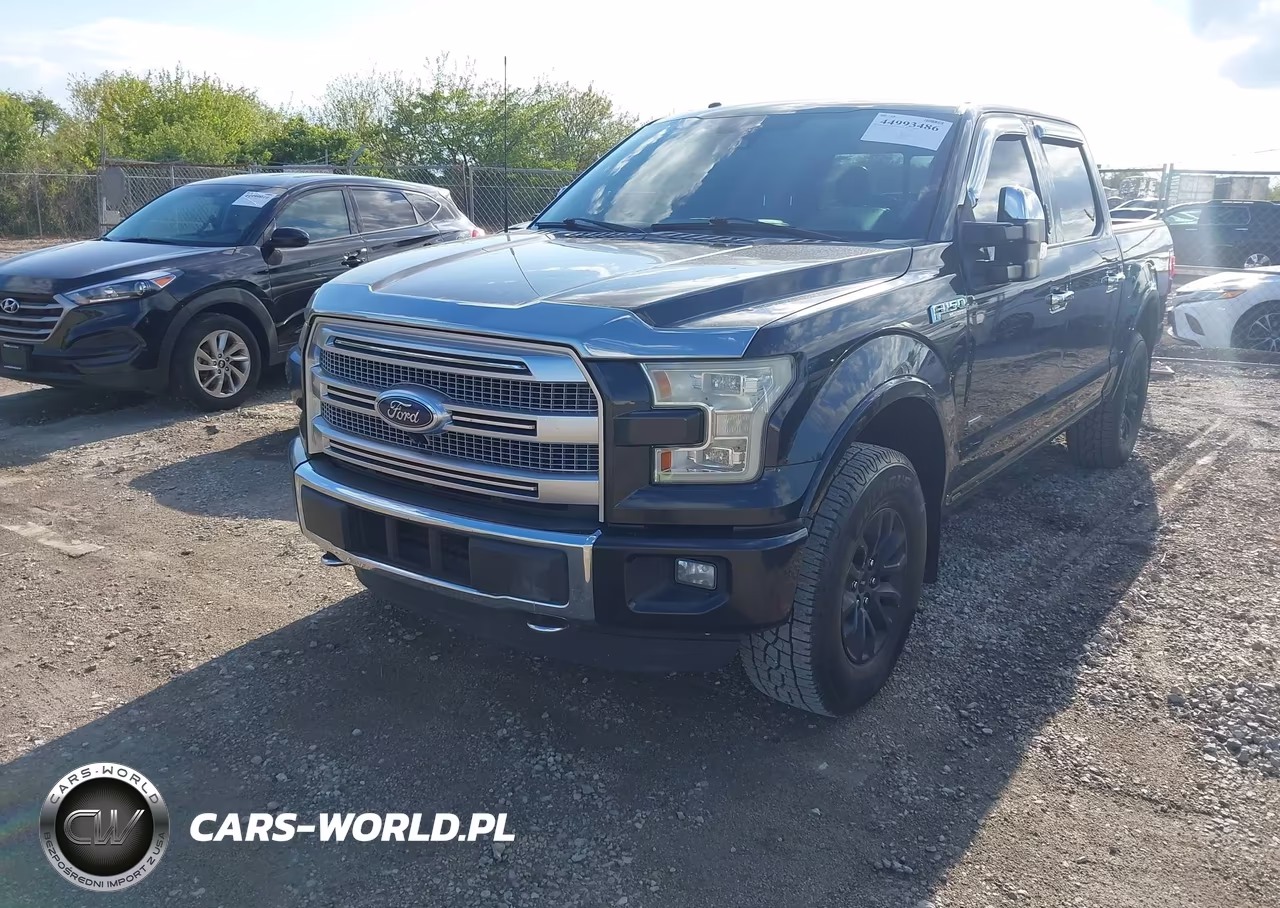 2015 Ford F-150 Platinum VIN:1FTEW1EG1FFB91482 - 2