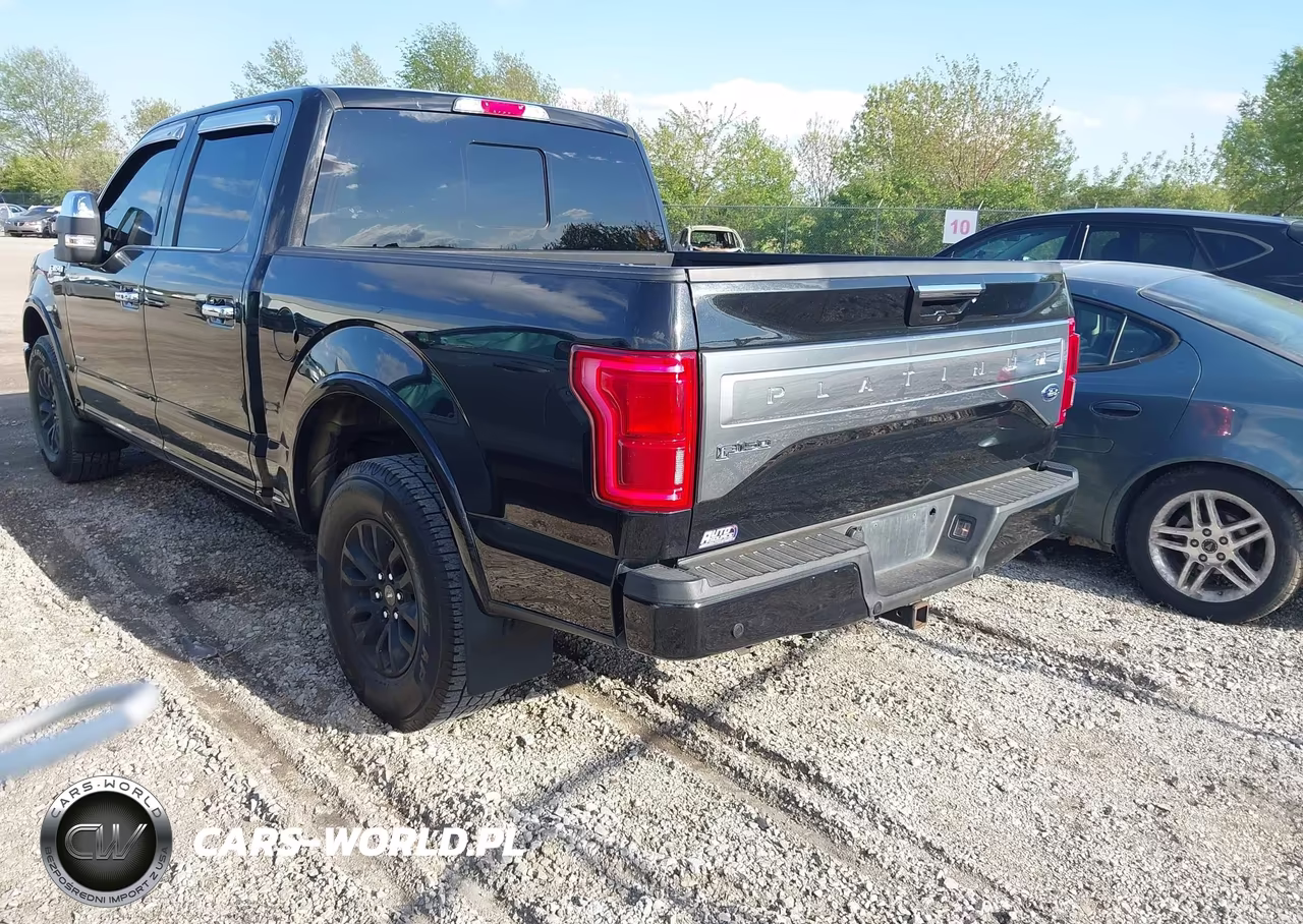 2015 Ford F-150 Platinum VIN:1FTEW1EG1FFB91482 - 3