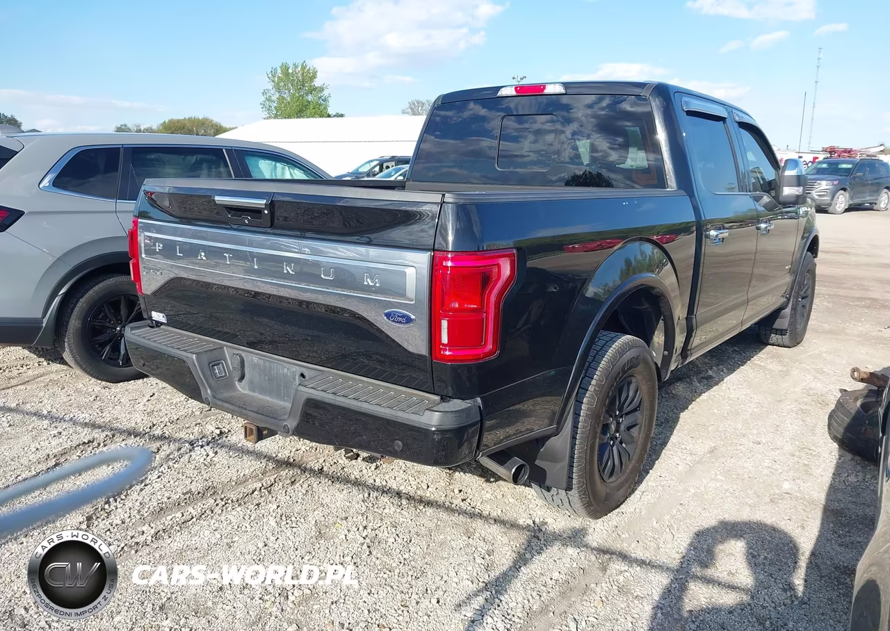 2015 Ford F-150 Platinum VIN:1FTEW1EG1FFB91482 - 4