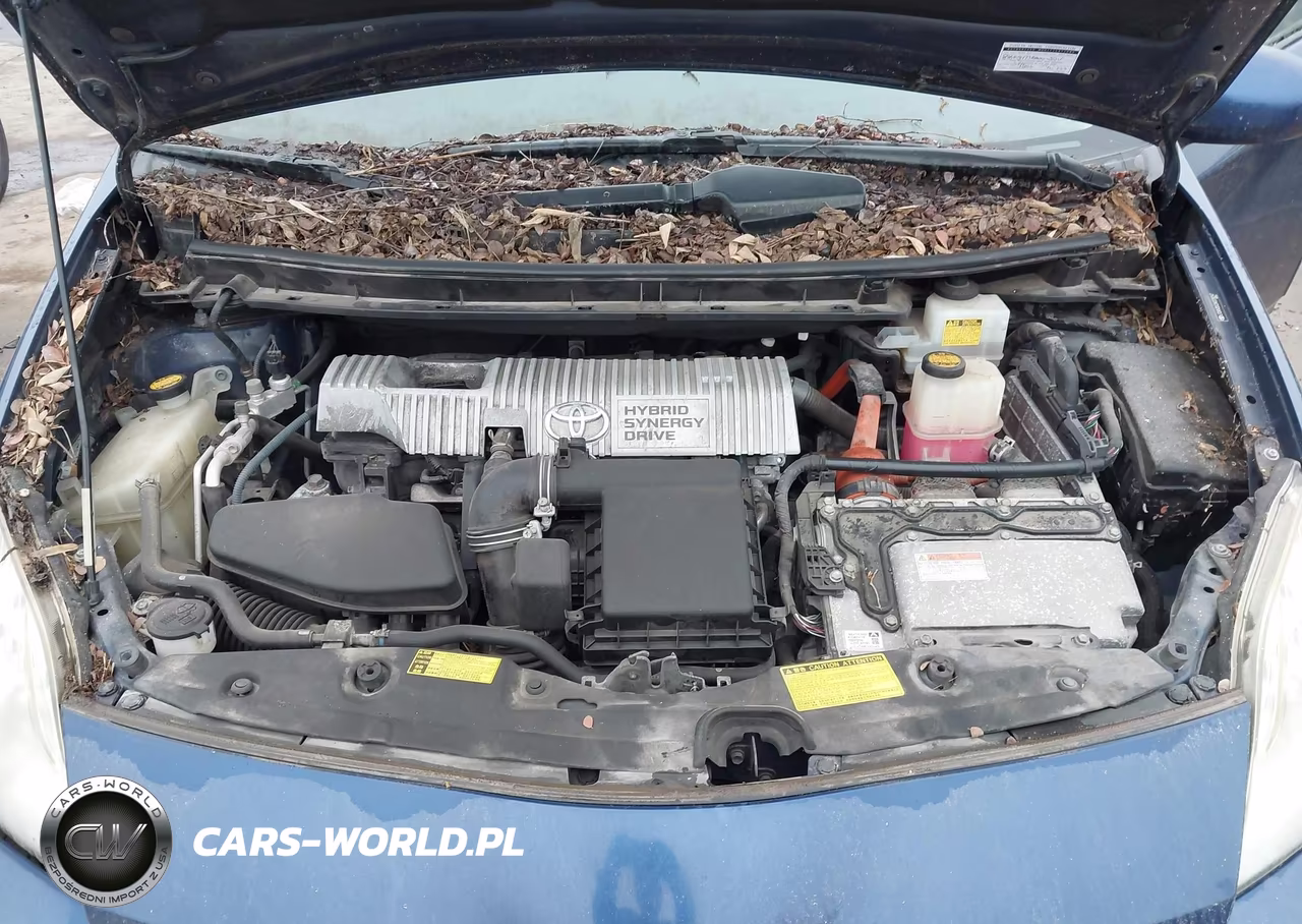2010 Toyota Prius Iii VIN:JTDKN3DU2A0238247 - 10