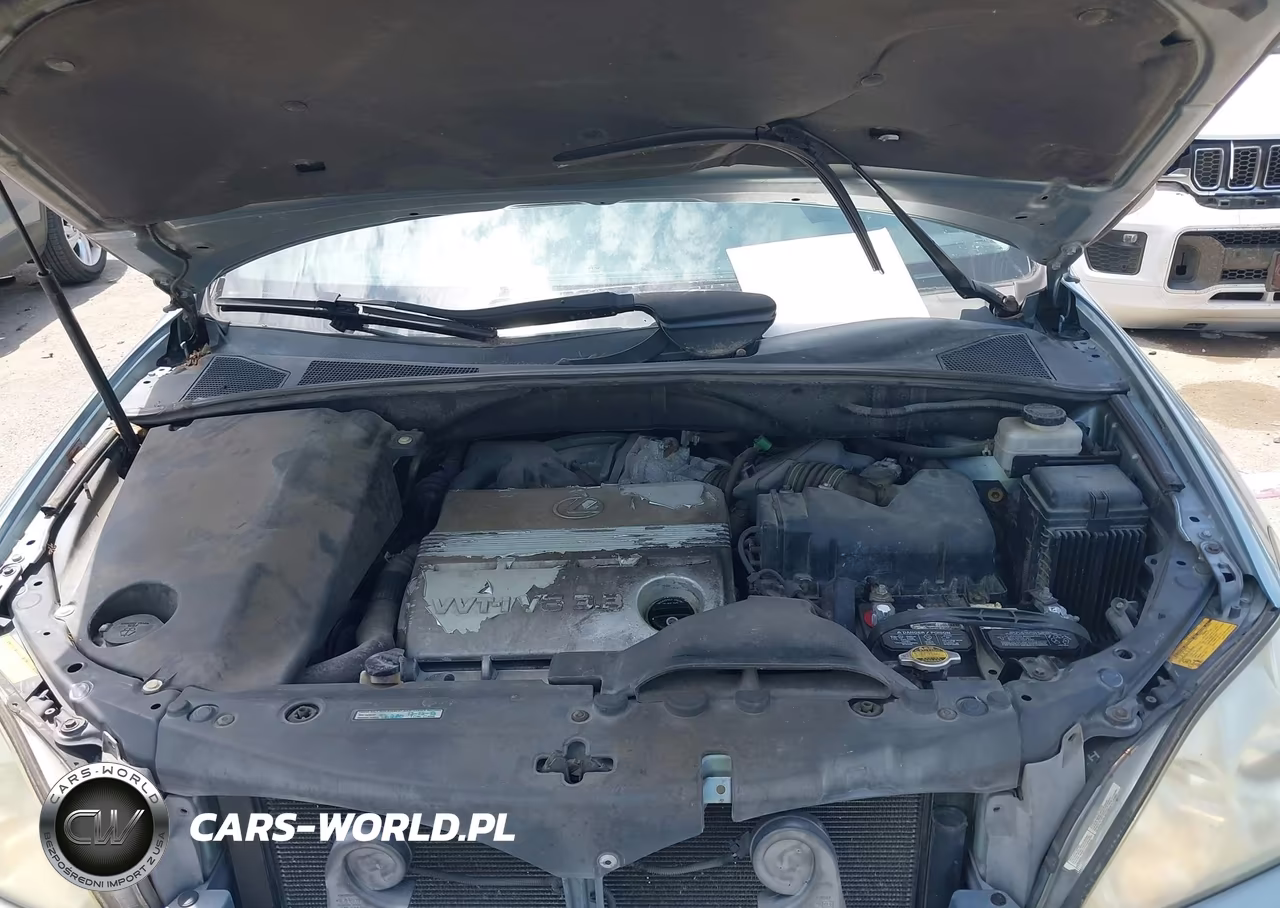 2004 Lexus Rx 330 VIN:2T2GA31U44C003442 - 10