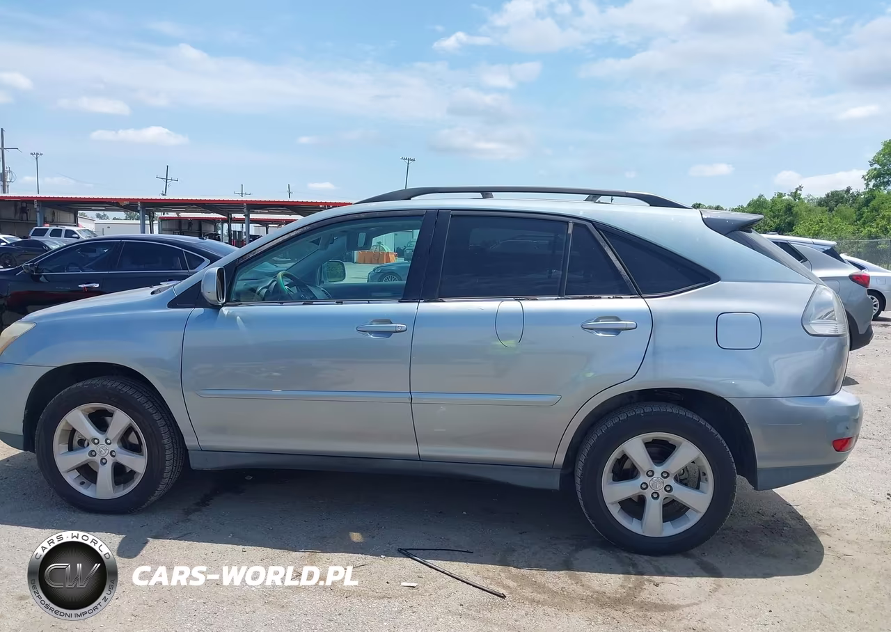 2004 Lexus Rx 330 VIN:2T2GA31U44C003442 - 14