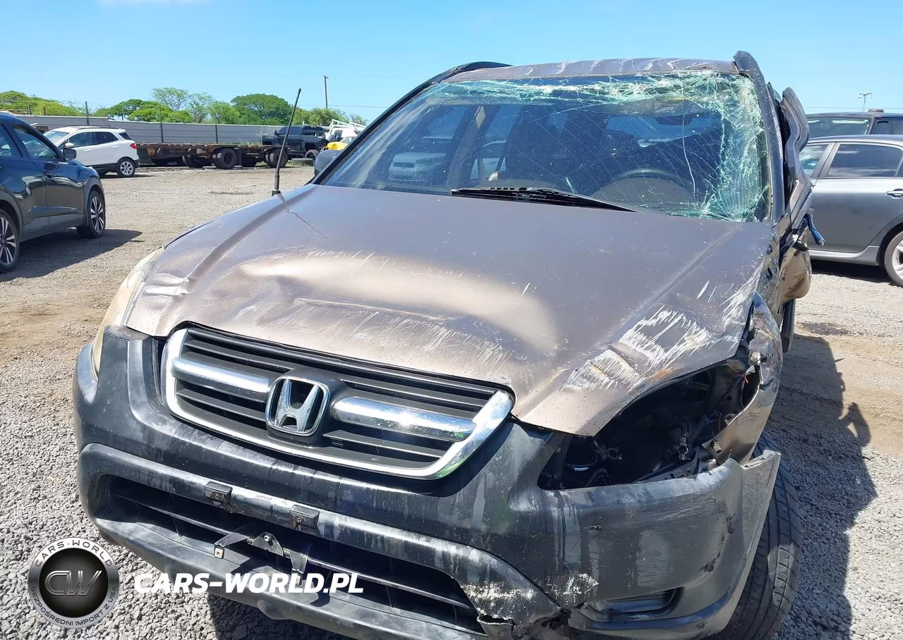 2004 Honda Cr-V Lx VIN:JHLRD68434C004427 - 10