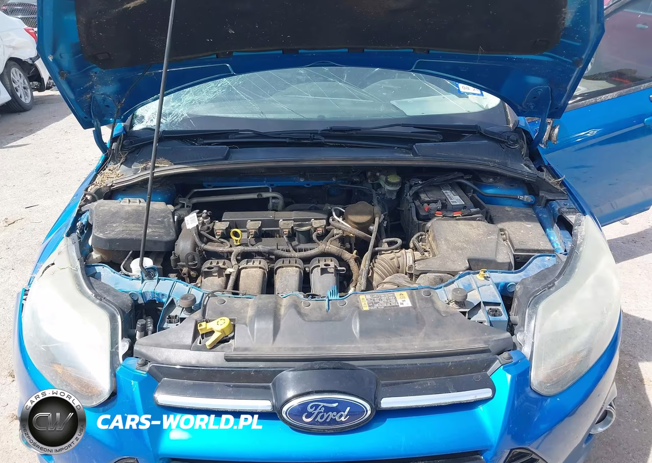 2014 Ford Focus Se VIN:1FADP3F28EL348731 - 10